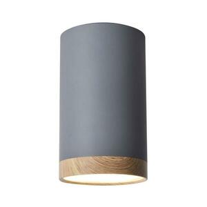 LED Mennyezeti lámpa TUBA LED/9W/230V kép
