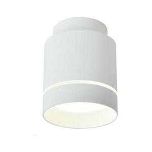 LED Mennyezeti lámpa TUBA LED/12W/230V kép