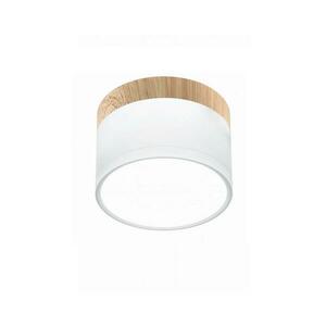 LED Mennyezeti lámpa TUBA LED/9W/230V fehér/bézs kép