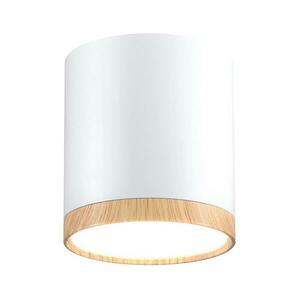LED Mennyezeti lámpa TUBA LED/5W/230V fehér/bézs kép