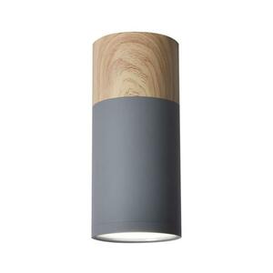 Mennyezeti lámpa TUBA GU10/15W/230V kép