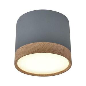 LED Mennyezeti lámpa TUBA LED/9W/230V kép