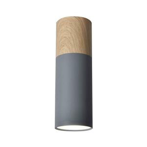 Mennyezeti lámpa TUBA GU10/15W/230V kép
