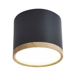 LED Mennyezeti lámpa TUBA LED/9W/230V kép
