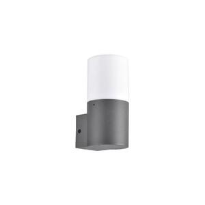 Kültéri fali lámpa DALLAS 1xE27/12W/230V IP44 antracit kép