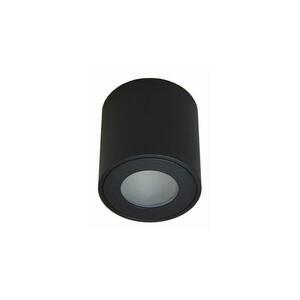Kültéri mennyezeti lámpa FARA 1xGU10/50W/230V IP54 fekete kép
