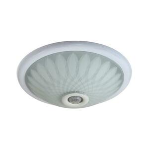 Mennyezeti lámpa érzékelővel PLAFON 2xE27/80W/230V kép
