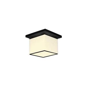 Mennyezeti lámpa FURIA 1xE27/60W/230V kép