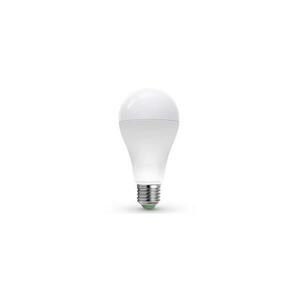 LED Izzó LEDSTAR ECO A65 E27/20W/230V 4000K kép