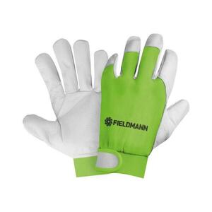 Fieldmann Fieldmann kép