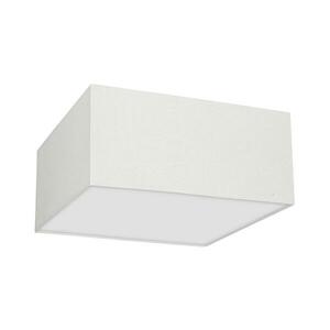 Mennyezeti lámpa ALBION 2xE27/60W/230V kép