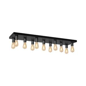 Spotlámpa FILO 11xE27/60W/230V fekete kép