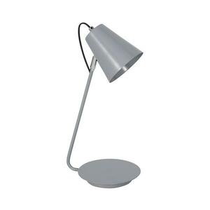 Asztali lámpa TABLE LAMPS 1xE27/60W/230V kép