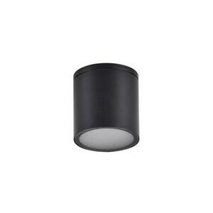 Kültéri spotlámpa OHIO 1xGU10/10W/230V IP54 fekete kép