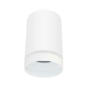 Spotlámpa FABRI 1xGU10/10W/230V fehér kép