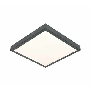 LED Mennyezeti lámpa VITALI LED/24W/230V kép