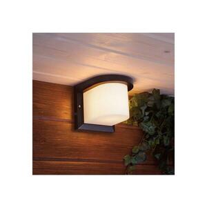 Kültéri fali lámpa PETUNIA 1xE27/60W/230V IP44 antracit kép