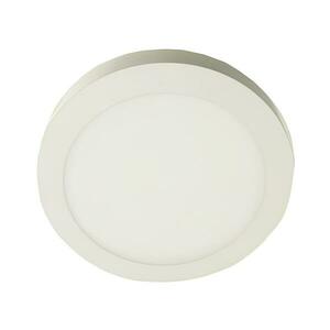 LED Mennyezeti lámpa GERRIT LED/12W/230V 4000K fehér kép