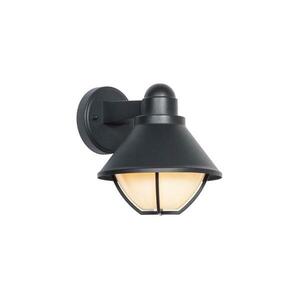Kültéri fali lámpa EDINA 1xE27/60W/230V IP44 fekete kép