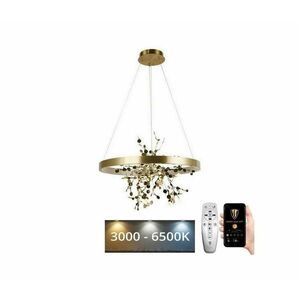 LED Dimmelhető csillár zsinóron LED/40W/230V 3000 kép