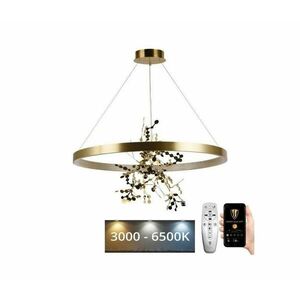LED Dimmelhető csillár zsinóron LED/55W/230V 3000 kép