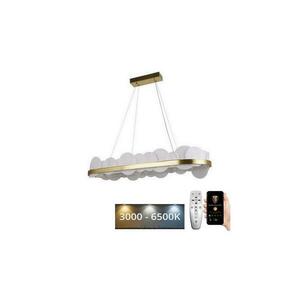 LED Dimmelhető csillár zsinóron LED/50W/230V 3000 kép