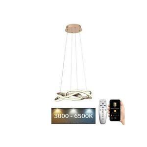 LED dimmelhető csillár zsinóron LED/65W/230V 3000 kép
