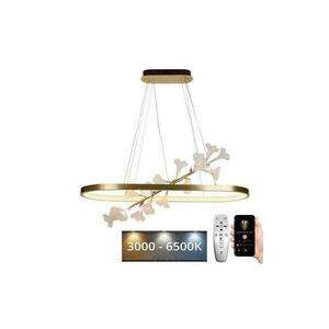 LED Dimmelhető csillár zsinóron LED/65W/230V 3000 kép