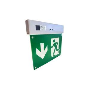 LED Vészvilágítás LED/2W/230V 6000K 300 mAh kép