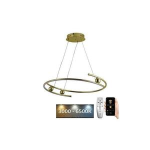 LED dimmelhető csillár zsinóron LED/50W/230V 3000 kép