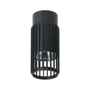 Spotlámpa VERTICAL 1xGU10/8W/230V fekete kép