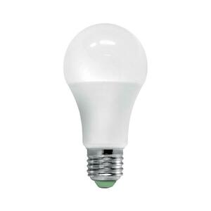 Brilagi LED Izzó szürkületérzékelővel ECOLINE A60 E27/12W/230V 3000K kép