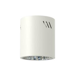 Spotlámpa GEORGE 1xE27/60W/230V átm. 11 cm fehér kép