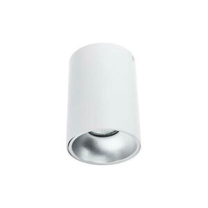 Spotlámpa TUBA 1xGU10/50W/230V fehér kép