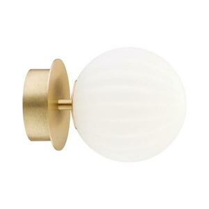 Argon Argon 8504 kép