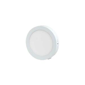 LED Mennyezeti lámpa LED/12W/230V kép