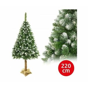 Karácsonyfa törzsön 220 cm fenyő kép