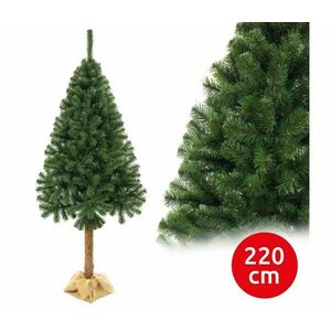 Karácsonyfa törzsével 220 cm fenyő kép