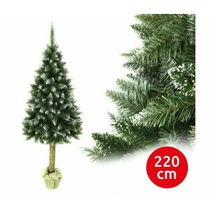 Karácsonyfa törzsével 220 cm fenyő kép