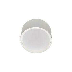 LED Mennyezeti lámpa PERCI LED/30W/230V IP40 4000K fehér kép