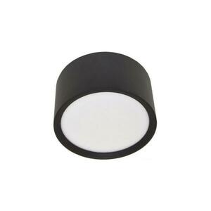LED Mennyezeti lámpa PERCI LED/30W/230V IP40 4000K fekete kép