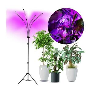 LED Dimmelhető állólámpa növények termesztésére VITARO 4xLED/7, 5W/230V fekete kép