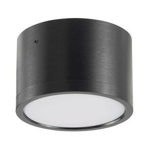 LED Mennyezeti lámpa MIRELLA 1xGX53/6W/230V fekete kép