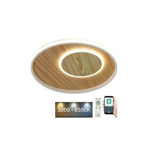 LED Dimmelhető mennyezeti lámpa LED/65W/230V 3000 kép