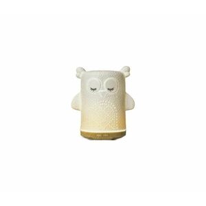Geti LED RGBW Aroma diffúzor LED/8W/230V 100 ml bagoly kép