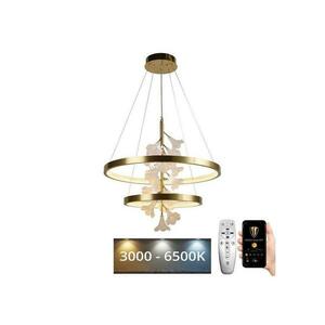 LED dimmelhető csillár zsinóron LED/70W/230V 3000 kép