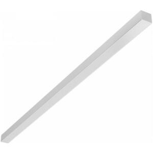 LED Mennyezeti lámpa ALLDAY BASIC LED/40W/230V 2700/4000/6000K fehér kép