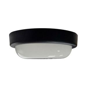 LED Kültéri mennyezeti lámpa LED/15W/230V 4200K átm. 15, 5 cm IP64 fekete kép