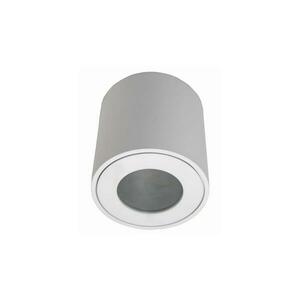 Kültéri mennyezeti lámpa FARA 1xGU10/50W/230V IP54 fehér kép