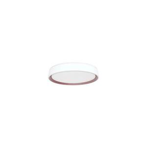 LED Dimmelhető mennyezeti lámpa hangvezérléssel OPAL LED/48W/230V + távirányító kép